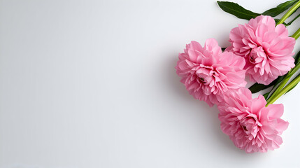 Delicate Pink Flowers on White Background Spring Floral Greeting Card Design