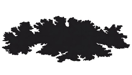 Obraz premium Black fractal shape on white background, isolated design