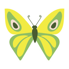 Yellow-green butterfly, isolated on white background.