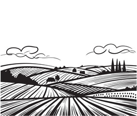 Farm fields sketch. Vine plantation hills, trees, clouds on the horizon vector illustration