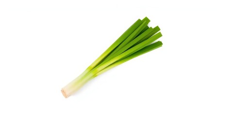 Single fresh leek, vibrant green, isolated on pure white background, food, fresh