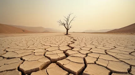 Schapenvacht deken Paisaje desértico con árbol seco y suelo agrietado © Iombi