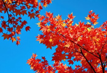 Vibrant autumn leaves in a tree canopy against a clear blue sky, texture, tree