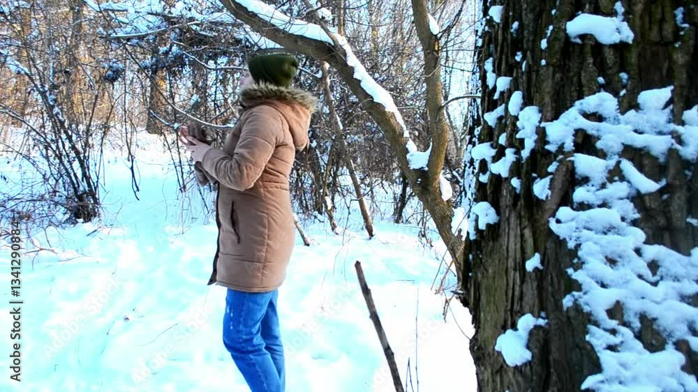 Poster tree covered in snow with a snow covered ground. the tree is surrounded by a forest, and the snow is