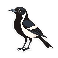 Magpie Silhouette: A detailed, illustration captures the distinct pattern of a magpie. This art piece depicts a magpie, with its striking blend of black, and crisp clean contour .