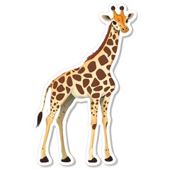 Obraz premium Giraffe Illustration: An endearing giraffe illustration, showcasing its towering stature, distinctive spots, and unique features.