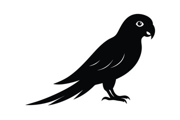 Obraz premium vector illustration of a parrot