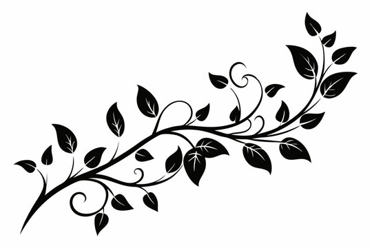 elegant leafy vine line art silhouette vector illustration