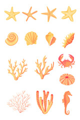 Seashells vector set. Collection of flat, cartoon sketches of molluscs sea shells, starfish, sea urchin, seahorse, hippocampus, crab, coral. Trendy coral reef under water collection isolated on white