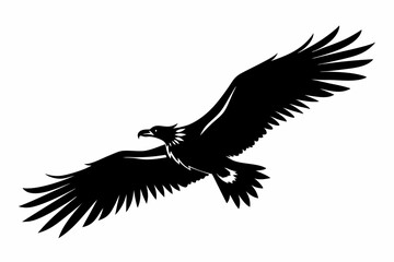 Obraz premium flying condor line art silhouette vector illustration