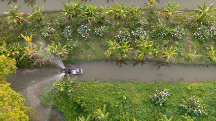 Aerial view of an organic agricultural farm, showcasing neatly arranged fruit plantations with irrigation channels.