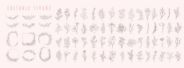 Set of different flowers, brunch and frames from flat editable stroke. Luxury line floral collection for wedding invitation art, design template. Botanical vector