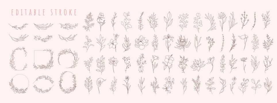 Set of different flowers, brunch and frames from flat editable stroke. Luxury line floral collection for wedding invitation art, design template. Botanical vector
