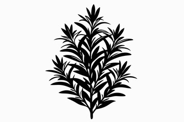 rosemary line art silhouette vector illustration