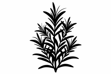 rosemary line art silhouette vector illustration