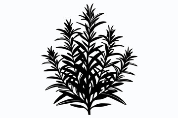rosemary line art silhouette vector illustration