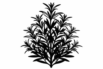rosemary line art silhouette vector illustration
