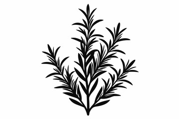 rosemary line art silhouette vector illustration