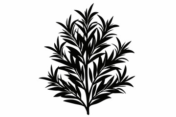 rosemary line art silhouette vector illustration
