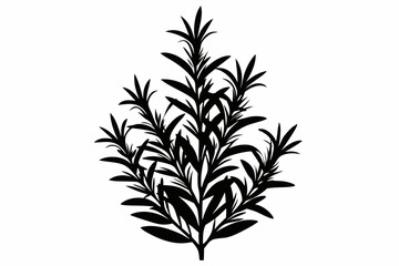 rosemary line art silhouette vector illustration