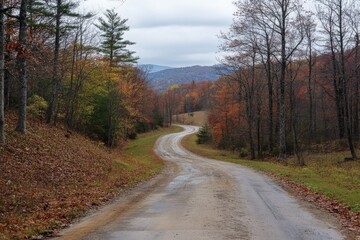 Obraz premium Winding dirt road through autumn forest in the appalachian mountains