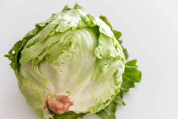 白いテーブルの上のレタス