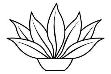a plant line art silhouette vector illustration