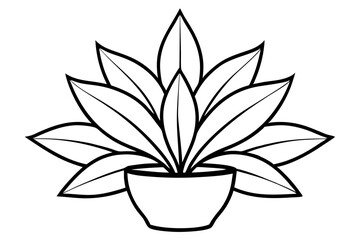 a plant line art silhouette vector illustration