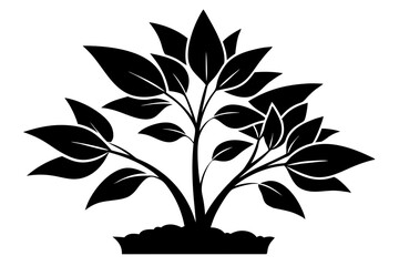 a plant line art silhouette vector illustration