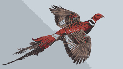 Fototapeta premium Flying Pheasant Illustration Showcasing Natural Beauty in Realistic Style
