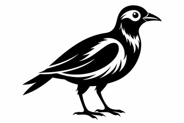 bird line art silhouette vector illustration
