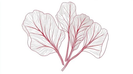 Elegant Line Art of Delicate Leaves - A Stunning Botanical Design