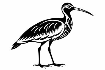 curlew line art silhouette vector illustration