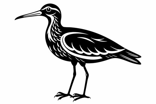 curlew line art silhouette vector illustration