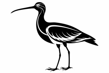 curlew line art silhouette vector illustration