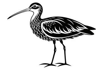 curlew line art silhouette vector illustration