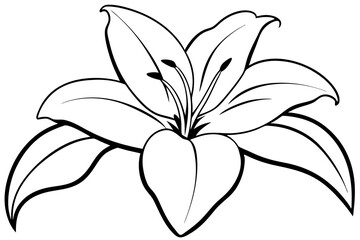 lily line art silhouette vector illustration