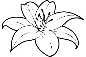 lily line art silhouette vector illustration