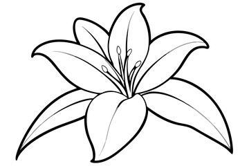 Obraz premium lily line art silhouette vector illustration