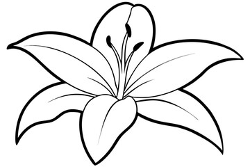 lily line art silhouette vector illustration