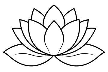 lotus line art silhouette vector illustration