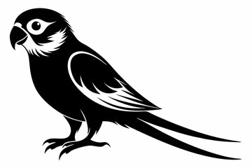 parakeet line art silhouette vector illustration