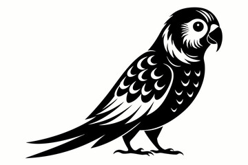 Fototapeta premium parakeet line art silhouette vector illustration