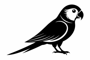 parakeet line art silhouette vector illustration