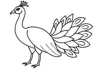 Fototapeta premium peacock line art silhouette vector illustration