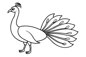 peacock line art silhouette vector illustration