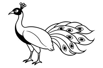 peacock line art silhouette vector illustration