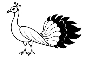 peacock line art silhouette vector illustration