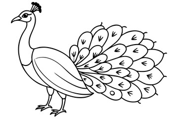 peacock line art silhouette vector illustration