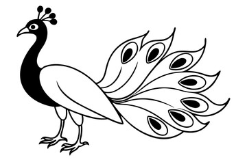 peacock line art silhouette vector illustration